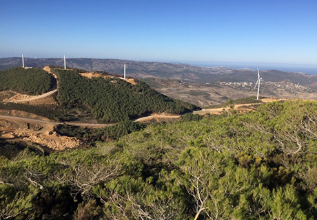 Khalladi Wind Farm CSR Project